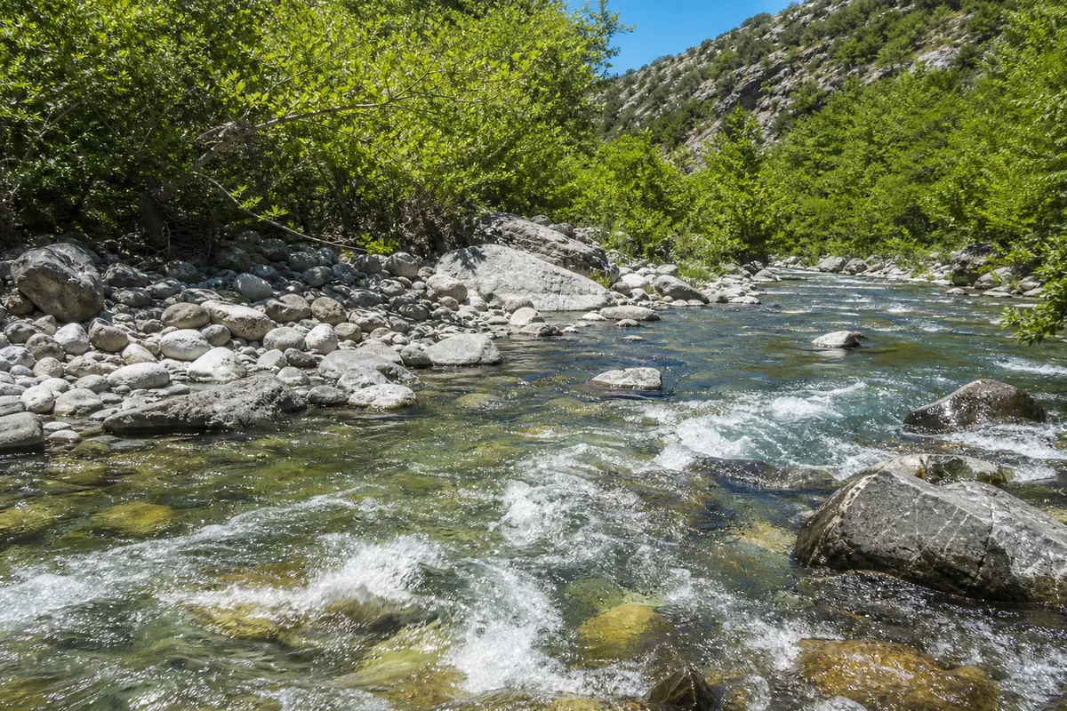 Rivière de montagne en plein soleil de milieu de journée, eau vive et claire